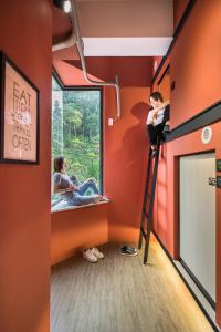 a childrens room with orange walls and a ladder at 貓頭鷹旅店 in Yuchi