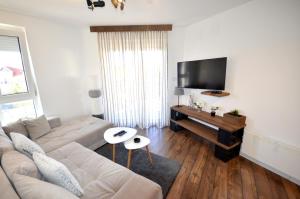 TV a/nebo společenská místnost v ubytování C l e a n&C o z y Apartmani Divcibare