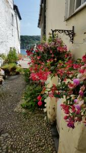 a row of flowers on the side of a building at Reed's of Fowey in Fowey +4 photos