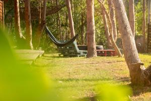 a hammock in the middle of a park with trees at Point Hostel in La Pedrera