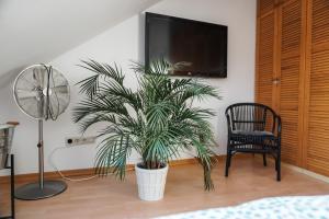 una planta en una habitación con ventilador y silla en Surfer Loft with AC and sun terrace en Bonn