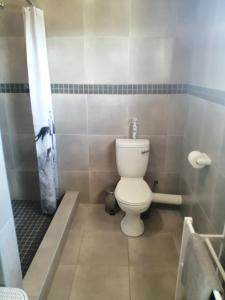 a bathroom with a toilet and a shower at Top Deck in Struisbaai