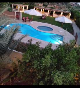 - une vue sur la piscine bordée de parasols dans l'établissement Tunis King Hotel, 