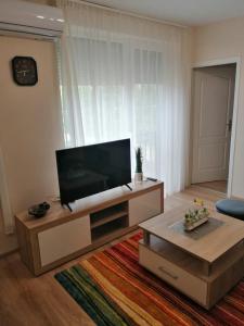 TV a/nebo společenská místnost v ubytování Boglárka Apartman