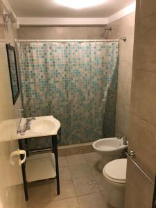 a bathroom with a shower and a toilet and a sink at Los Paraisos in Villa Gesell +14 photos