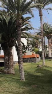 Fotografie z fotogalerie ubytování Casa Naranja v destinaci Costa Del Silencio