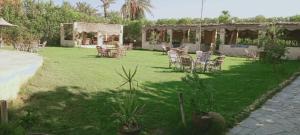 une pelouse avec des chaises, une table et une tente dans l'établissement Tunis King Hotel, 
