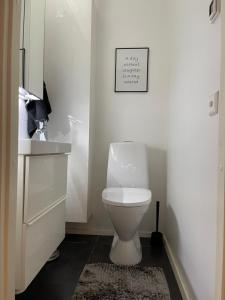 a bathroom with a toilet and a picture on the wall at Design Guesthouse Laanila in Oulu +26 photos