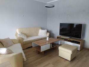 Televízia a/alebo spoločenská miestnosť v ubytovaní Apartament z widokiem