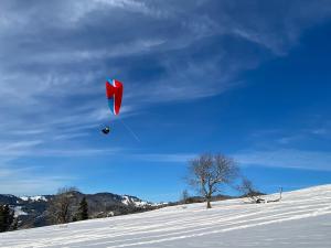 Foto dalla galleria di hoamelig a Batschuns