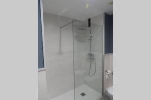 een badkamer met een douche met een glazen deur bij Bassiero Apartament in Esterri d'Àneu +36 foto's