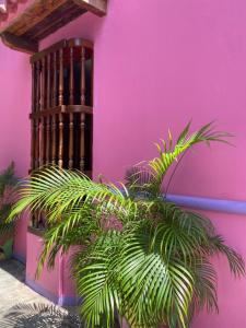 Gallery image of Casa San Benito Abad in Cartagena de Indias