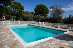 - une piscine avec un chien assis à côté dans l'établissement Agriturismo Ca' Verde - il giardino narrante, à Fiorenzuola di Focara