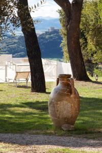 Φωτογραφία από το άλμπουμ του Agriturismo Ca' Verde - il giardino narrante σε Fiorenzuola di Focara +25 φωτογραφίες