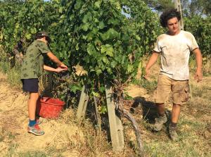 Hostia v ubytovaní Agriturismo Rigone in Chianti