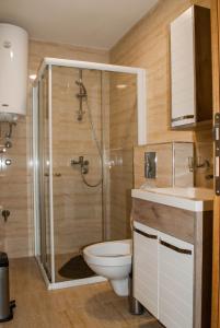 Koupelna v ubytování Apartman Soko + 37 fotografií