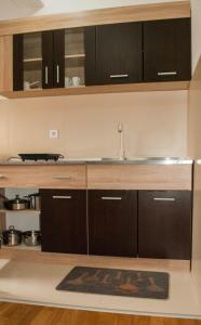 Kuchyň nebo kuchyňský kout v ubytování Apartman Soko