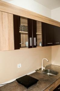 Kuchyň nebo kuchyňský kout v ubytování Apartman Soko