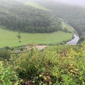 a view of a river from the top of a hill at Symonds Yat West Holiday Cottage 8 WRC with views of Yat Rock in Symonds Yat