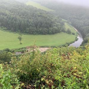 a view of a river from the top of a hill at Stunning Symonds Yat Holiday Cottage in Symonds Yat