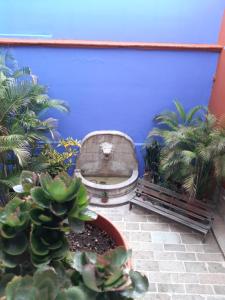 Casa de Siete Balcones Hotel Boutique في مدينة أواكساكا: جدار أزرق مع مرحاض يجلس بجوار النباتات