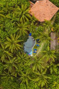 an aerial view of a resort with palm trees and a pool at Butterfly House Bahia in Marau
