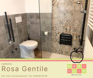 a bathroom with a toilet and a glass shower at Meriggio Agriturismo in Fiastra