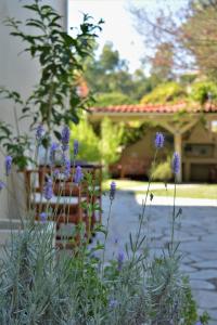 einen Garten mit lila Blumen vor einem Haus in der Unterkunft The Archontariki in Ormos Panagias