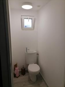 a bathroom with a white toilet and a window at Gîtes aux cœurs des vignes a 10mm du zoo de beauval 3 étoiles in Mareuil-sur-Cher