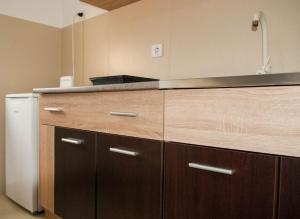 Kuchyň nebo kuchyňský kout v ubytování Apartman Soko