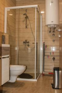 Koupelna v ubytování Apartman Soko