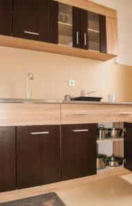 Kuchyň nebo kuchyňský kout v ubytování Apartman Soko