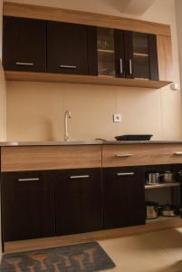 Kuchyň nebo kuchyňský kout v ubytování Apartman Soko