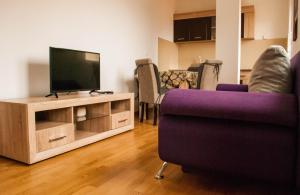 TV a/nebo společenská místnost v ubytování Apartman Soko