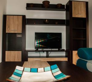 TV a/nebo společenská místnost v ubytování Apartman Soko