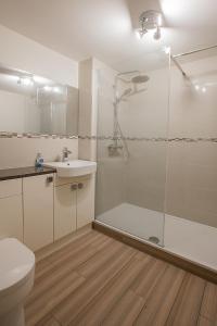 a bathroom with a shower and a sink and a toilet at 2 Bed Blackburn Village Apt With Wifi & Parking in Aberdeen