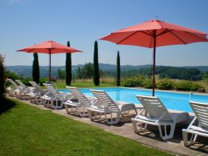 a row of chairs and umbrellas next to a pool at Domaine Leyvinie, gite Chardonnay, close to Dordogne in Perpezac-le-Blanc