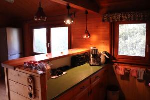 a kitchen with a counter top and two windows at Landhaus/Holzhaus in Bad Wünnenberg