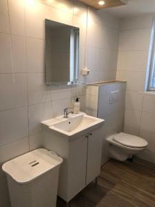 bagno con lavandino, servizi igienici e specchio di B&B Kleine Vliet a Medemblik