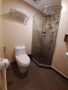 a bathroom with a toilet and a shower at 1Tagaytay in Tagaytay +9 photos
