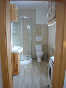 La salle de bains est pourvue d'une douche, de toilettes et d'un lavabo. dans l'établissement Wichrowe Wzgórze, à Dynów
