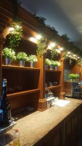 Pianella的住宿－Villa L'Anfora B&B，架子上带盆栽的厨房台