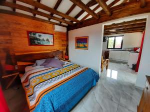 1 dormitorio con 1 cama grande en una habitación en Gite INDIA en Port-Louis