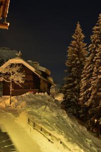 una cabina coperta di neve con un albero di Natale accanto di Apartment Sonnleitn/Nassfeld a Sonnenalpe Nassfeld