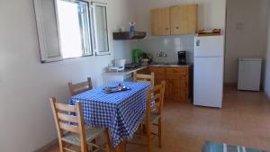 A kitchen or kitchenette at Apartments Elli - Nikos