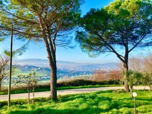 un parque con dos árboles y una carretera en Tenuta Il Sogno, en Benevento