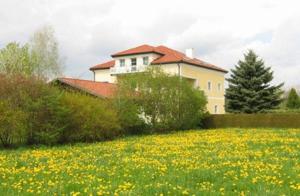 a house with a field of flowers in front of a house at Gasthof Pension Baumkirchner in Altheim