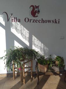 Fotografie z fotogalerie ubytování Villa Orzechowski ve Visle