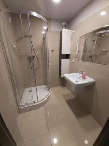 Koupelna v ubytování Apartament z ogrodem Tychy