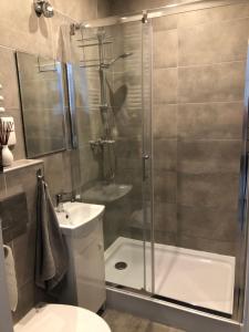 a bathroom with a shower and a toilet and a sink at Apartament przy Parku Zdrojowym in Kudowa-Zdrój